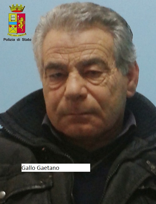 Gallo Gaetano  2 cl. 54-723487